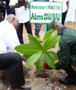 Planting d’arbres-CF Dimbokro